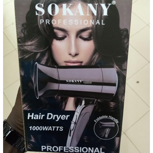 Professional Mini Hair Dryer