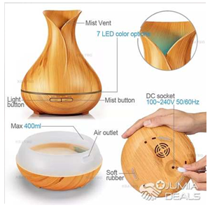 Vase-style fragrance diffuser