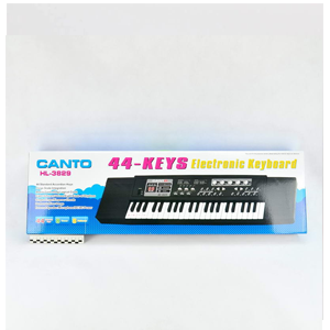 Piano Canto HL-3829 avec microphone - Image 2