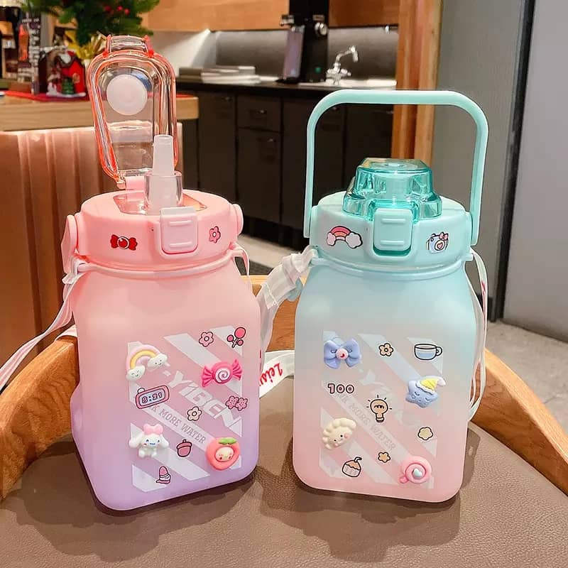 Drinking water bottle