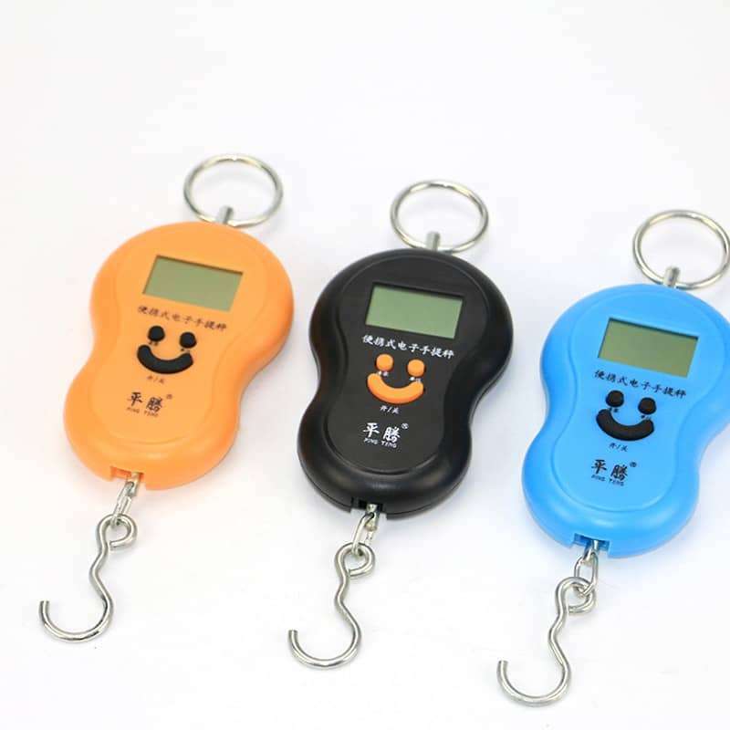 Professional pocket scale 50kg