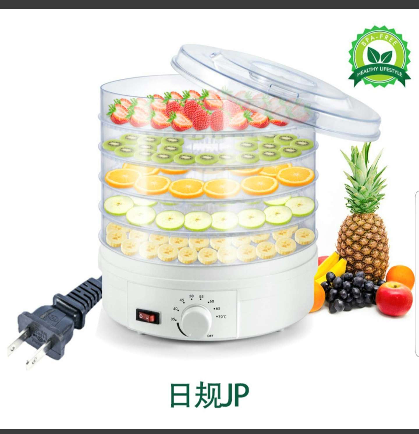 Dehydrator oven