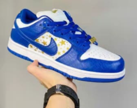 Nice Blue Shoe