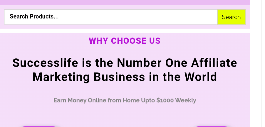 successlife international