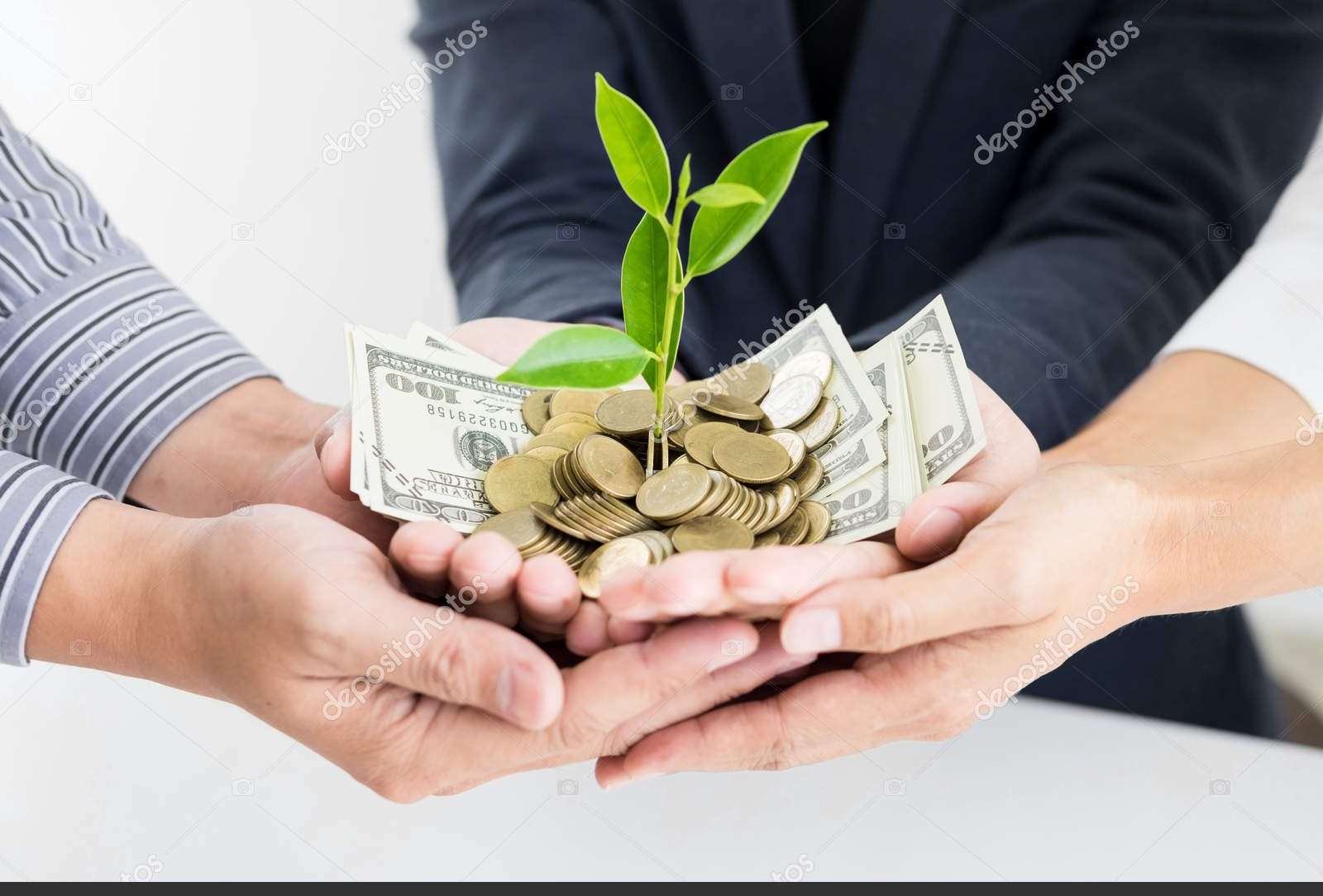 money grows