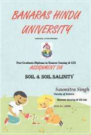 Soil and soil salinity - Download Free