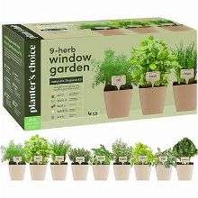 Herb Window Garden Growing Kit
