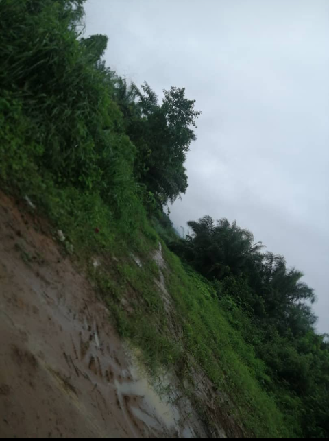 Land for sale Dibamba Douala 500m2