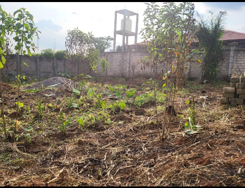 LAND FOR SALE