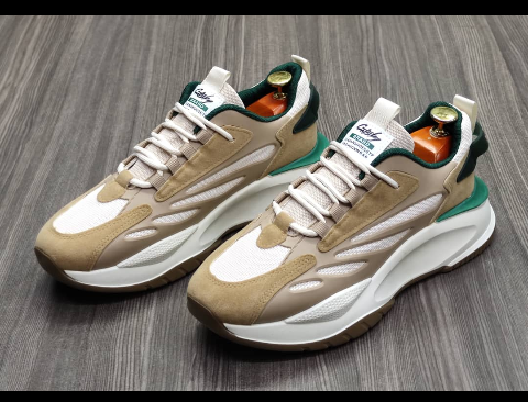 sport shoe