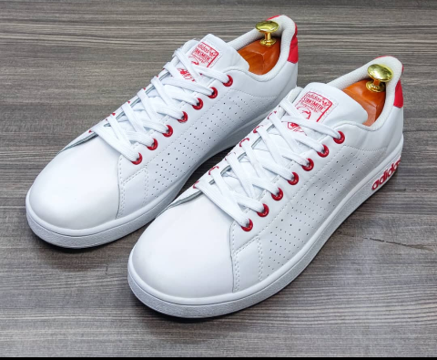sport shoe