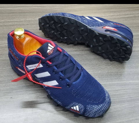 shoe