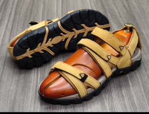 shoe