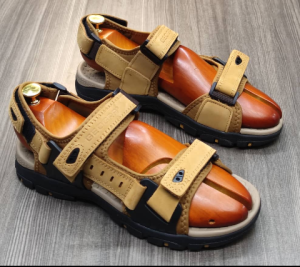 shoe