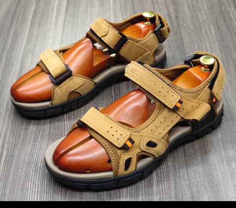 shoe