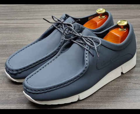shoe