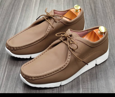 shoe