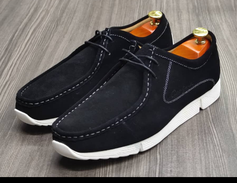 shoe