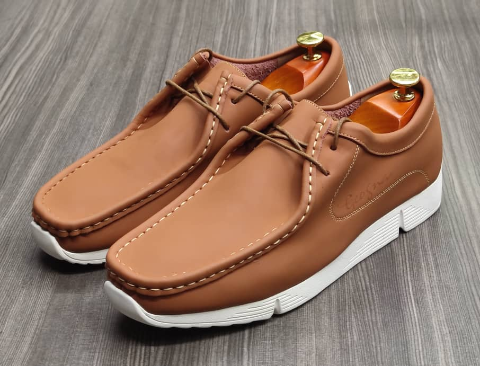 shoe