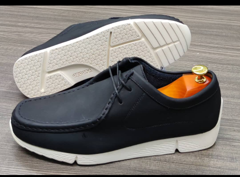 shoe