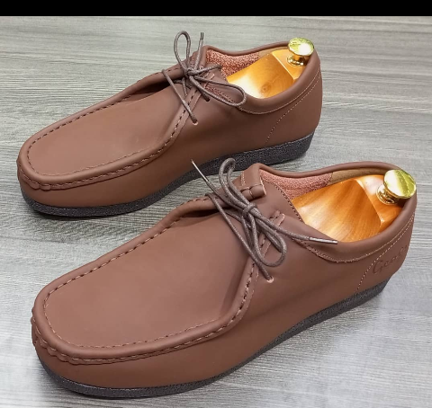 shoe