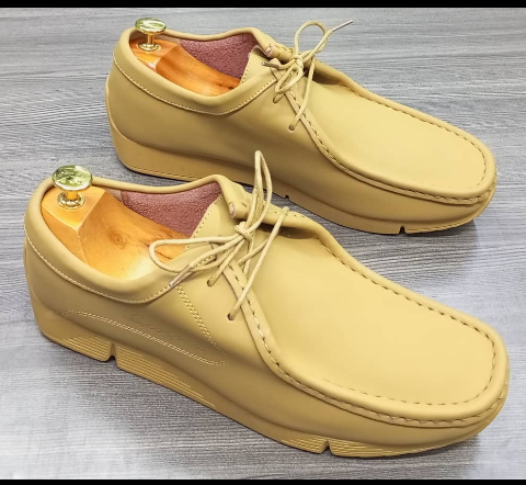 shoe