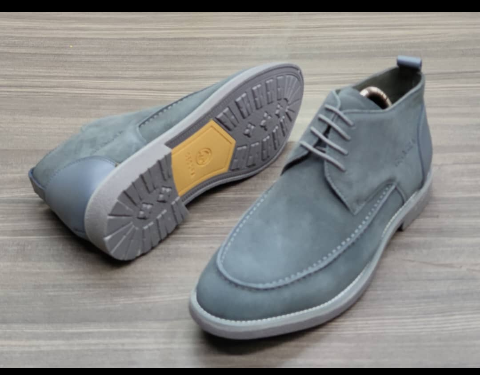 shoe