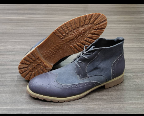 shoe