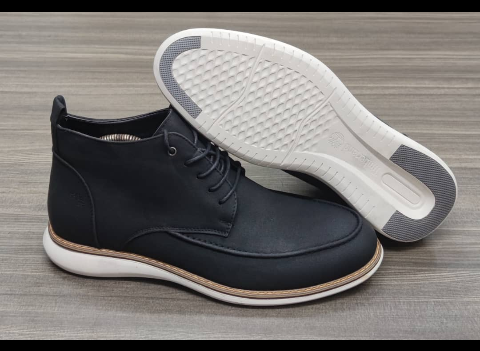 shoe