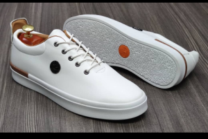 shoe