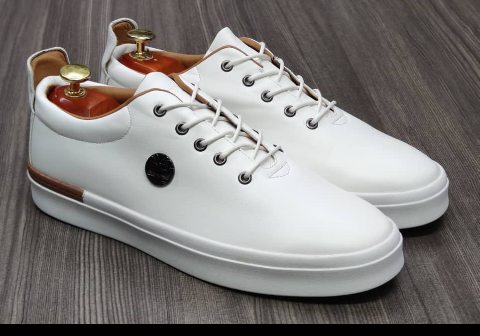shoe
