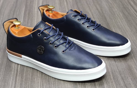 shoe