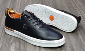 shoe