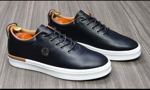 shoe