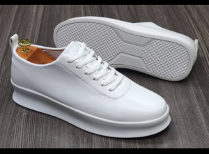 shoe