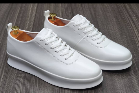 shoe