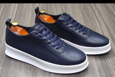 shoe