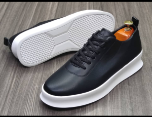 shoe