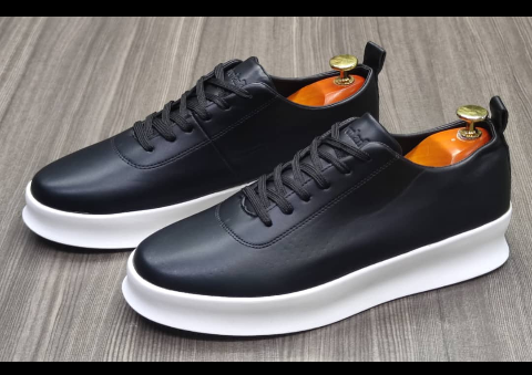 shoe