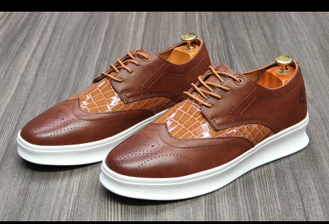 shoe