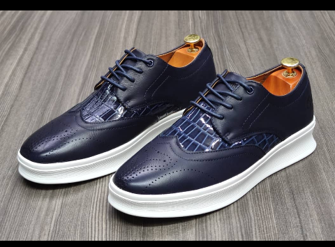 shoe