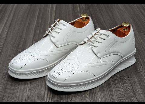 shoe
