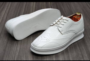 shoe