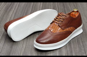 shoe