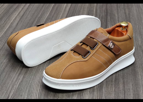 shoe