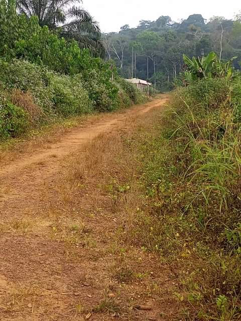 Titled Lands for sale available all over Yaoundé at affordable prices from 3000XAF m2.