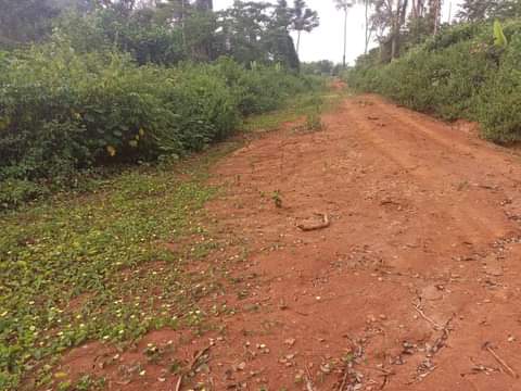 Titled Lands for sale available all over Yaoundé at affordable prices from 3000XAF m2.