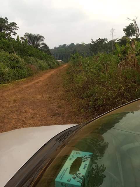 Titled Lands for sale available all over Yaoundé at affordable prices from 3000XAF m2.