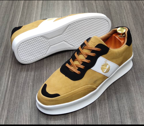 shoe