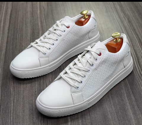 shoe